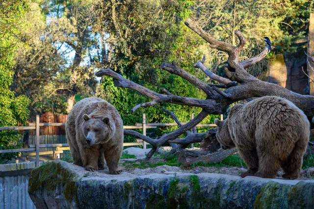 Zoo Aquarium Madrid
